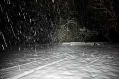 PXL_20231208_210153725