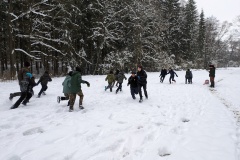 PXL_20231209_081936310