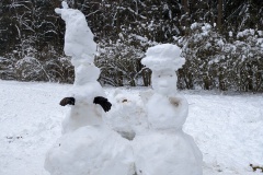 PXL_20231209_104035079