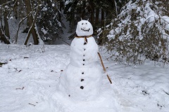 PXL_20231209_104231232