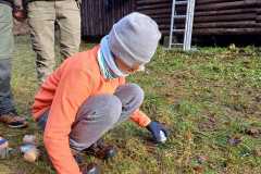 IMG-20241208-WA0009